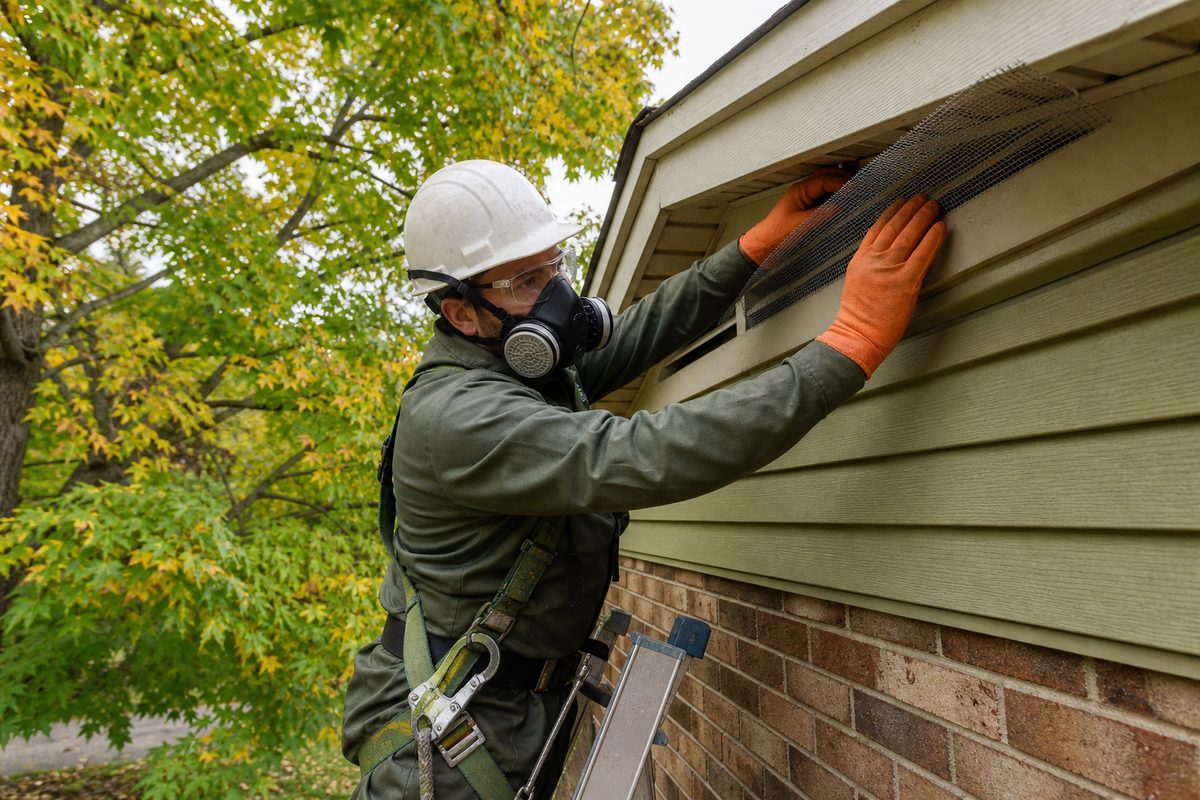 Wildlife Removal